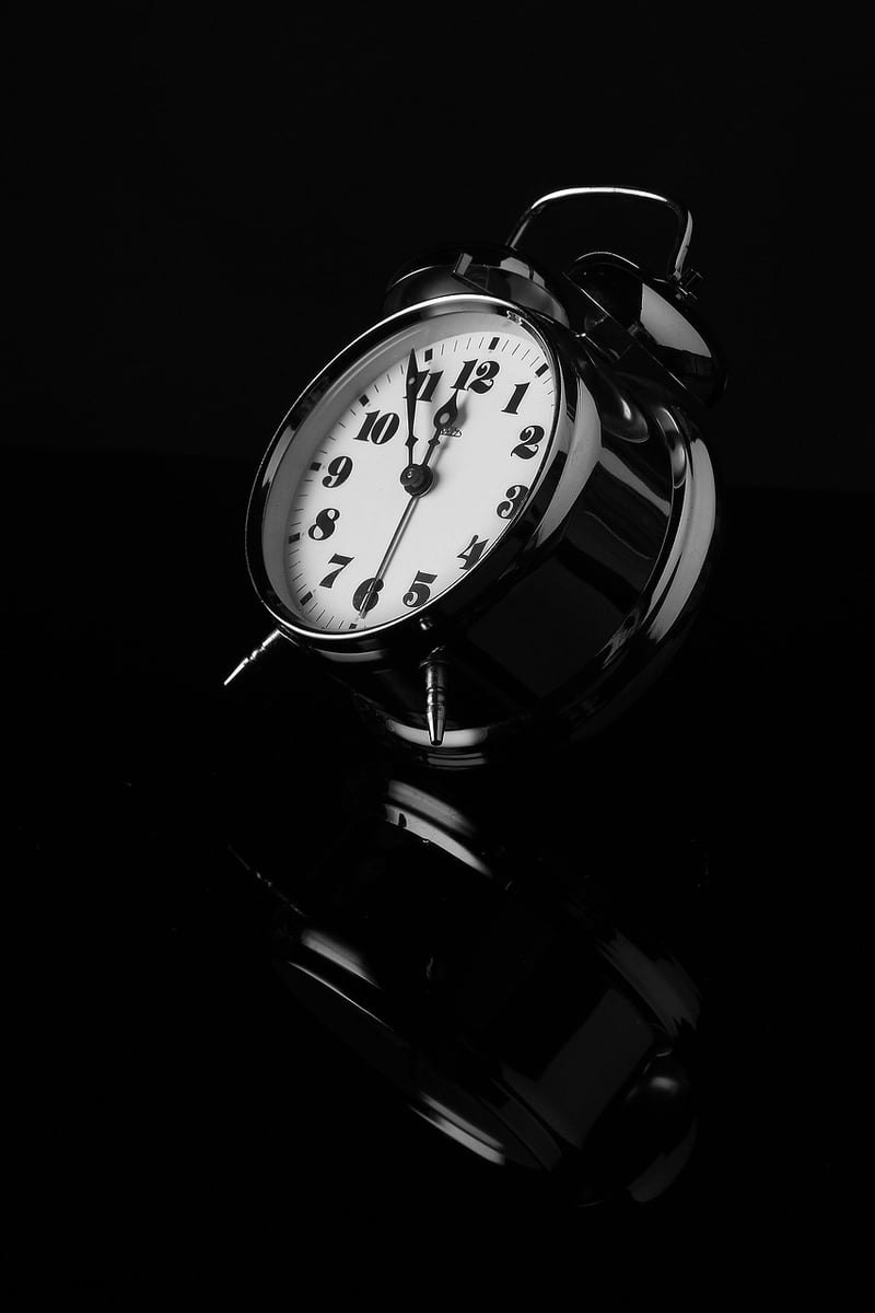 Time Traveler